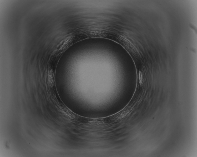 X0000091711107200709071406