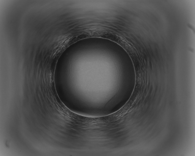 X0000091711108200709071406