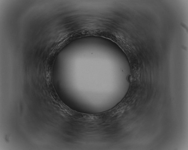 X0000091711109200709071406