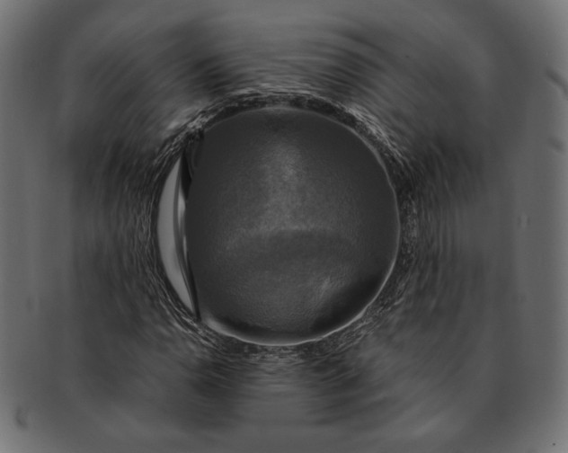 X0000091711110200709071406