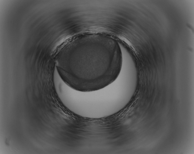 X0000091711112200709071406