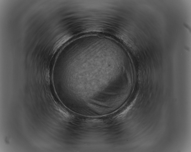 X0000091711113200709071406