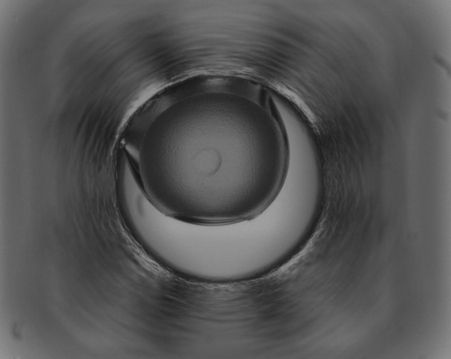 X0000091711114200709071406