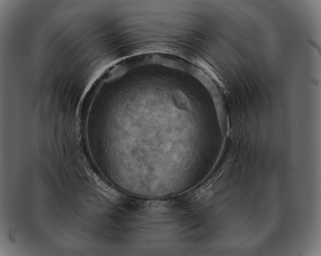 X0000091711116200709071406