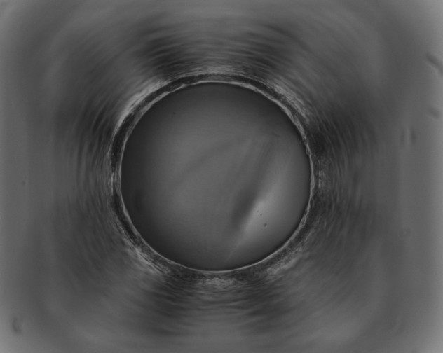 X0000091711117200709071406