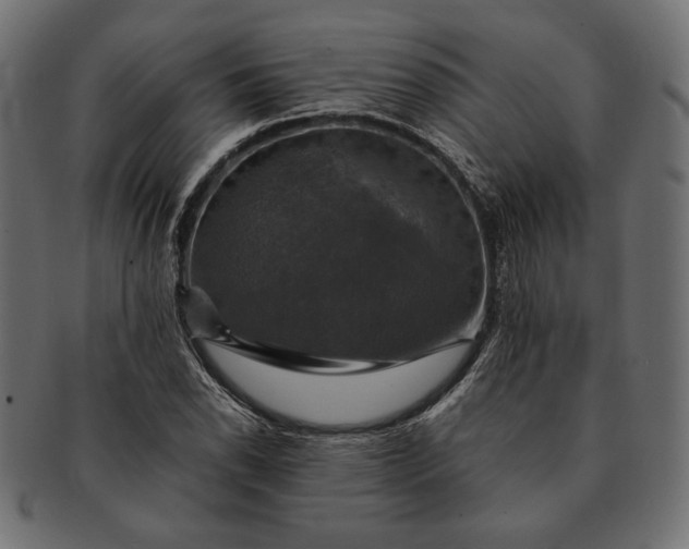 X0000091711118200709071406