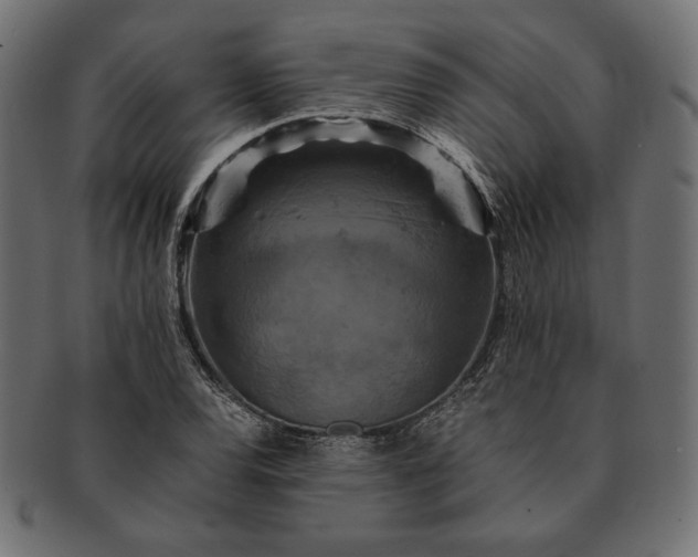 X0000091711120200709071406