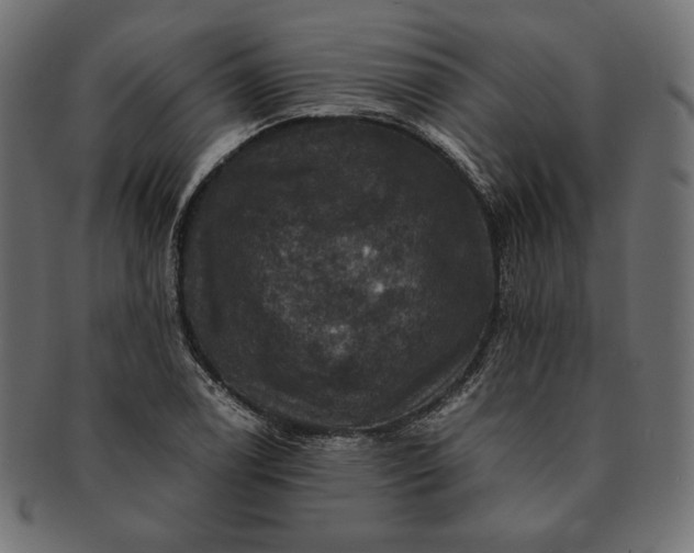 X0000091711122200709071406