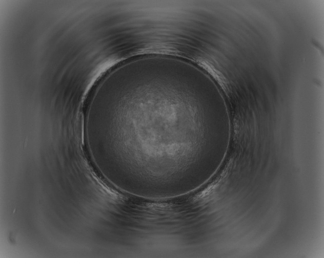 X0000091711123200709071406