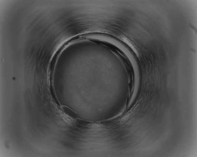 X0000091711124200709071406