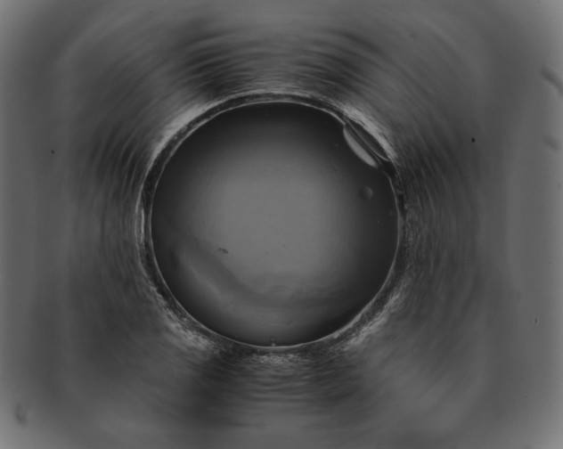 X0000091711125200709071406