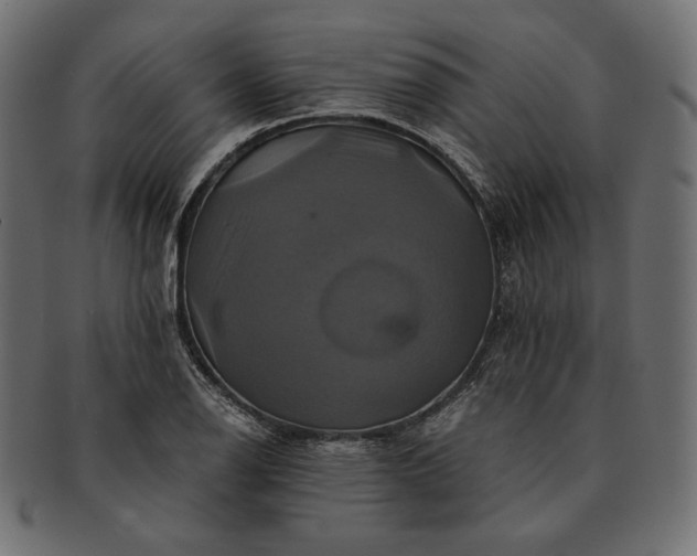 X0000091711126200709071406