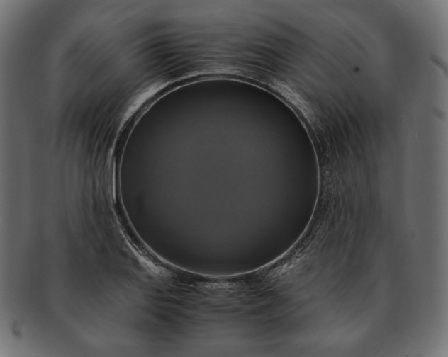 X0000091711127200709071406