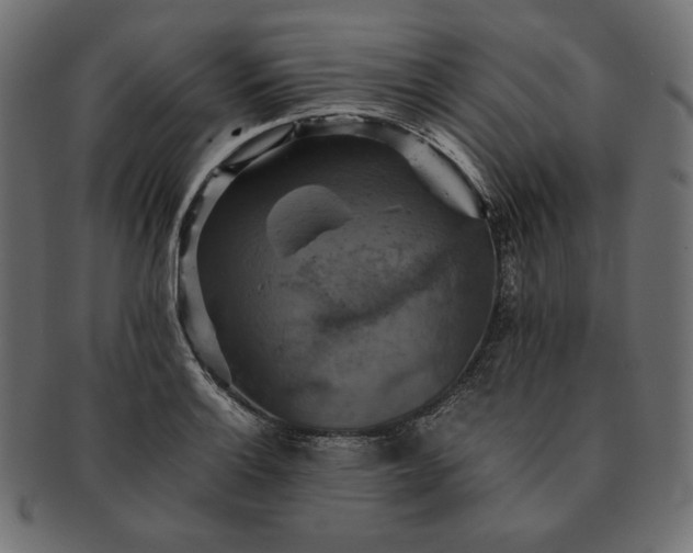 X0000091711132200709071406