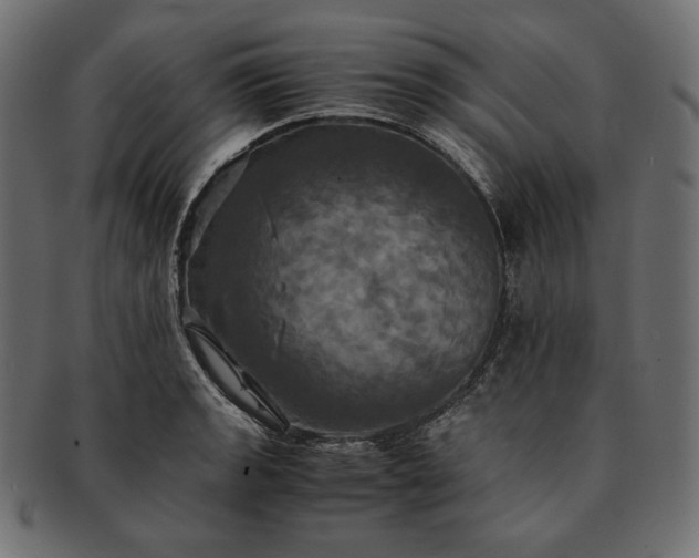 X0000091711133200709071406