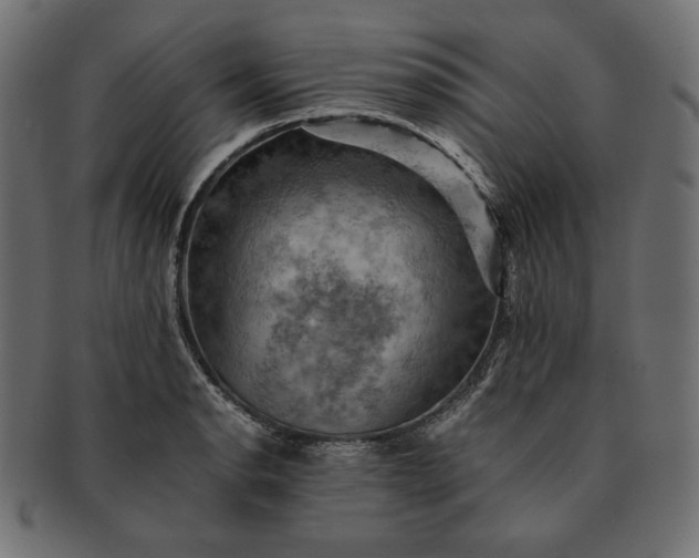 X0000091711134200709071406