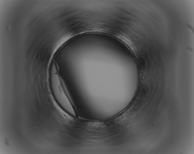 X0000091711135200709071406