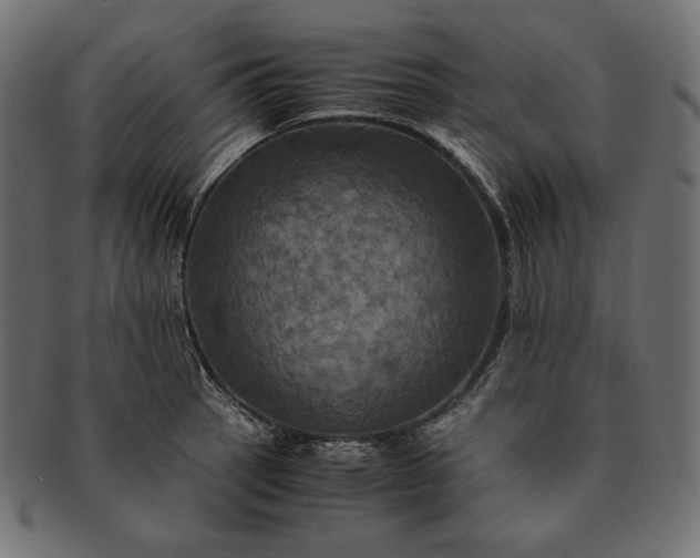 X0000091711137200709071406