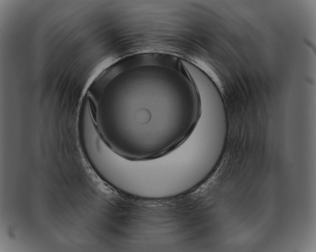 X0000091711138200709071406