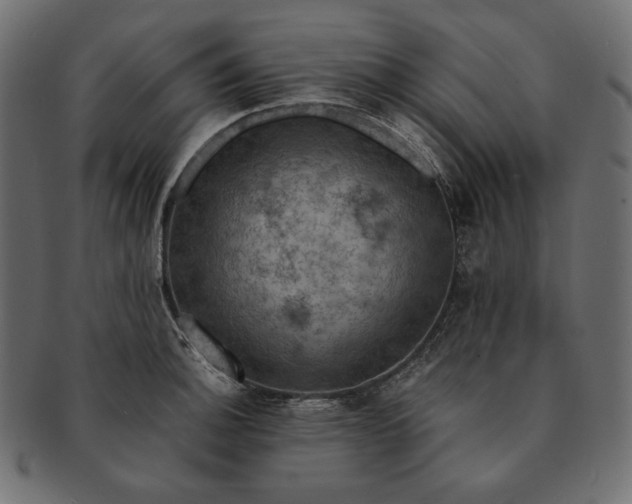 X0000091711140200709071406