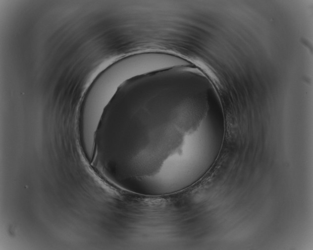 X0000091711142200709071406