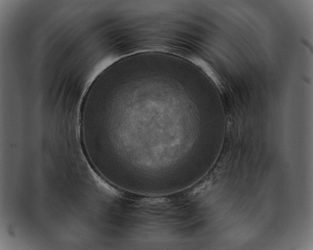 X0000091711143200709071406