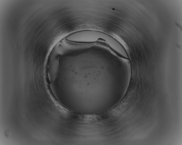 X0000091711144200709071406