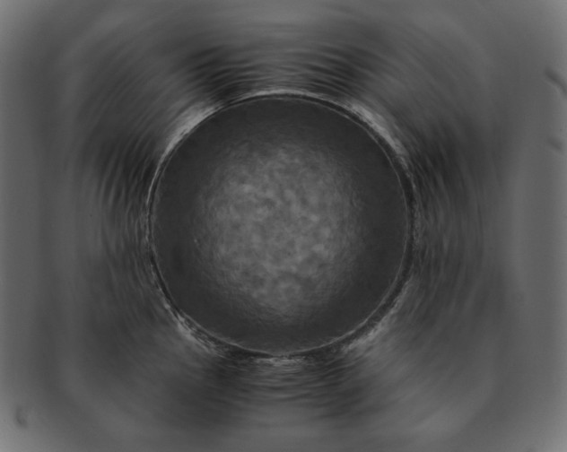 X0000091711145200709071406