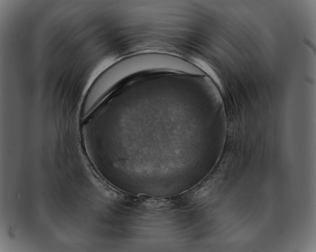 X0000091711146200709071406