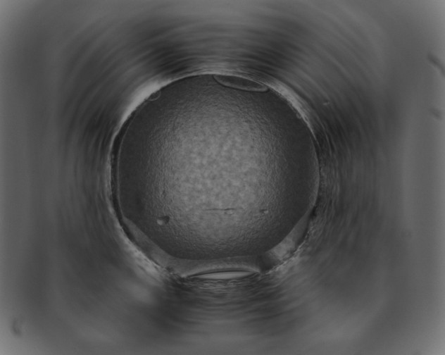 X0000091711147200709071406