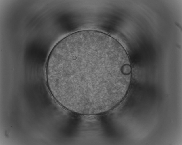 X0000091711150200709071407