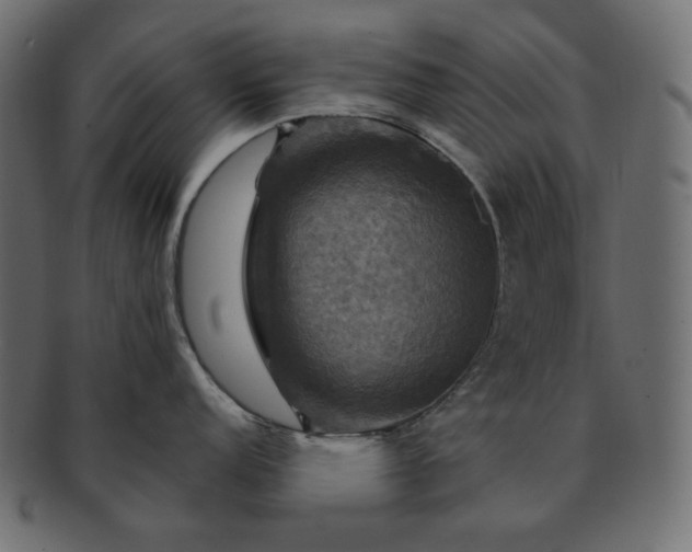 X0000091711152200709071407