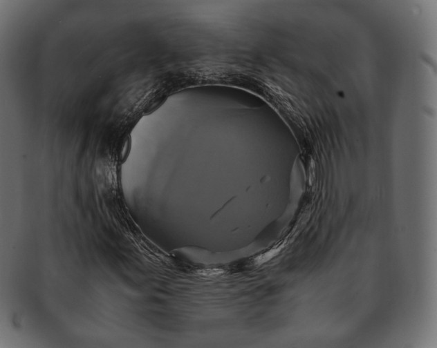 X0000091711155200709071406