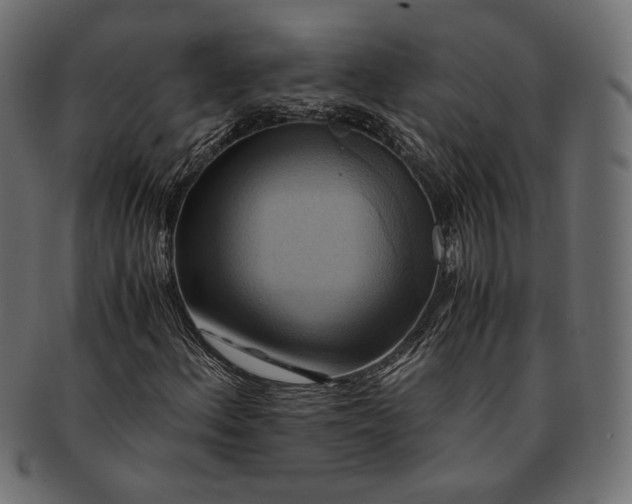 X0000091711156200709071406