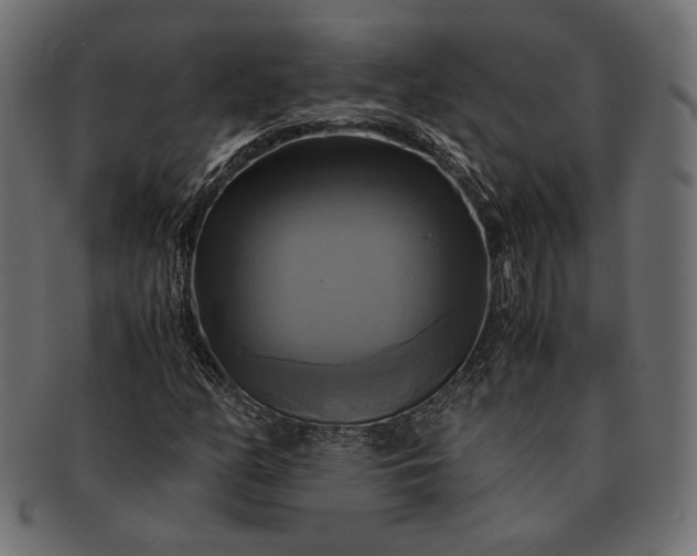 X0000091711158200709071406