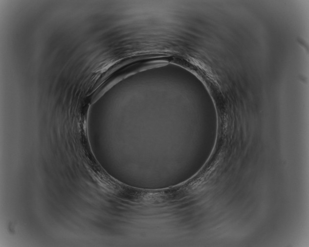 X0000091711161200709071406