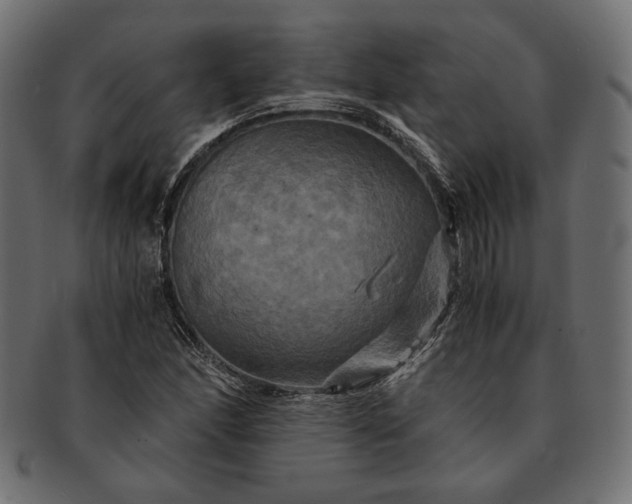 X0000091711166200709071406