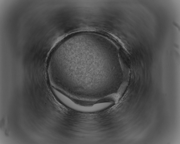 X0000091711168200709071406