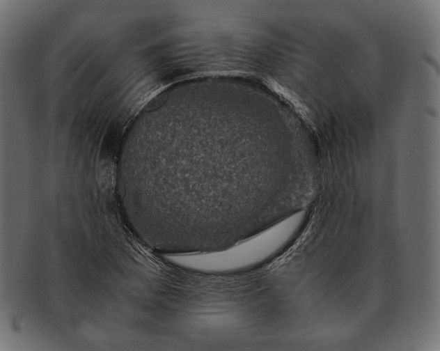 X0000091711169200709071406