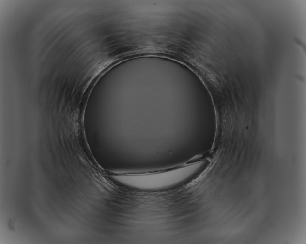 X0000091711170200709071406