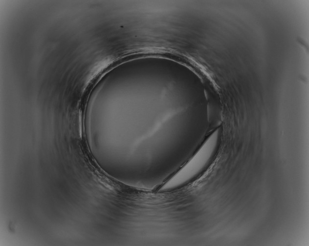 X0000091711171200709071406