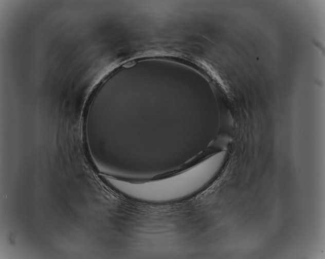 X0000091711173200709071406