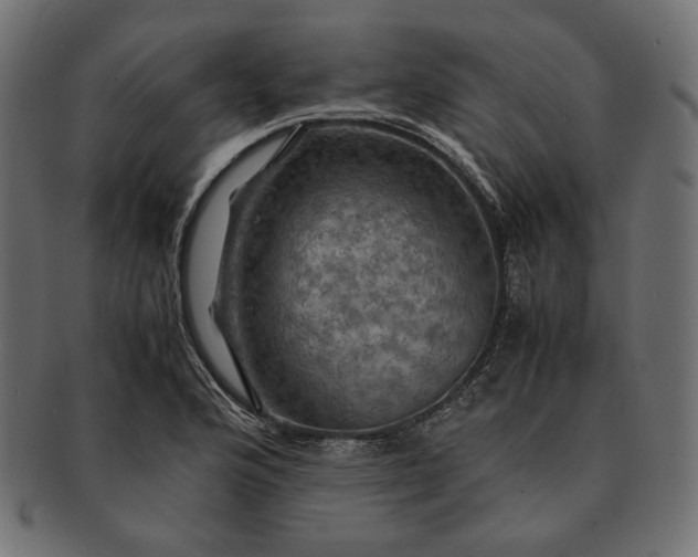 X0000091711176200709071406