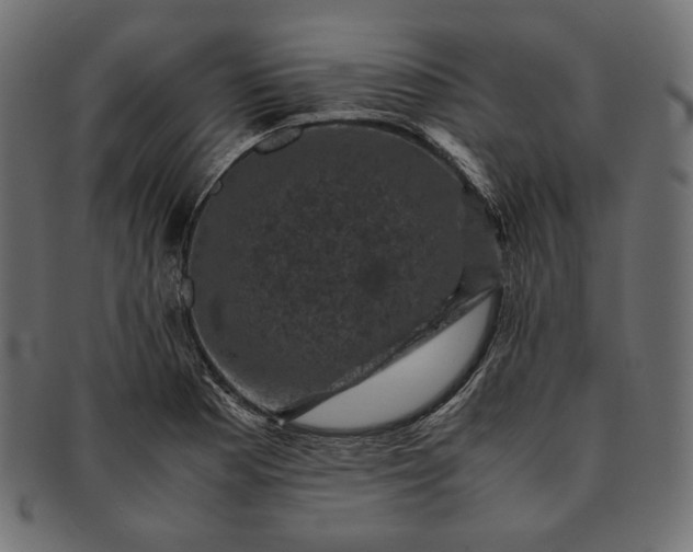 X0000091711177200709071406