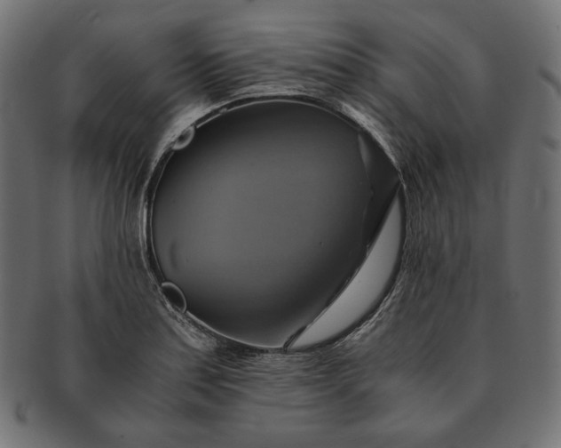 X0000091711179200709071405