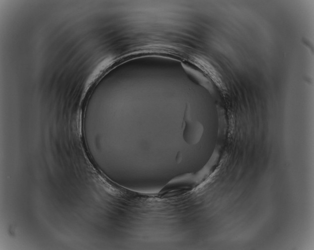 X0000091711180200709071405