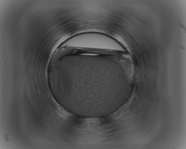 X0000091711181200709071405