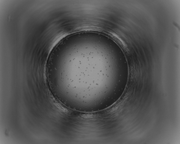 X0000091711182200709071405