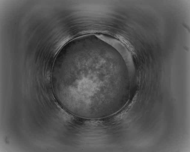 X0000091711185200709071405