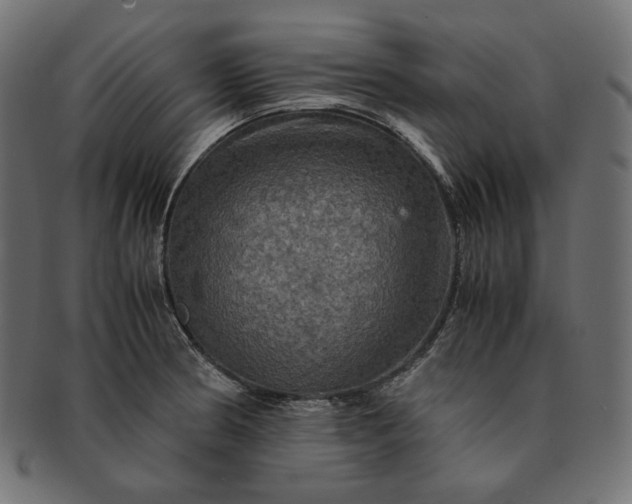 X0000091711186200709071405